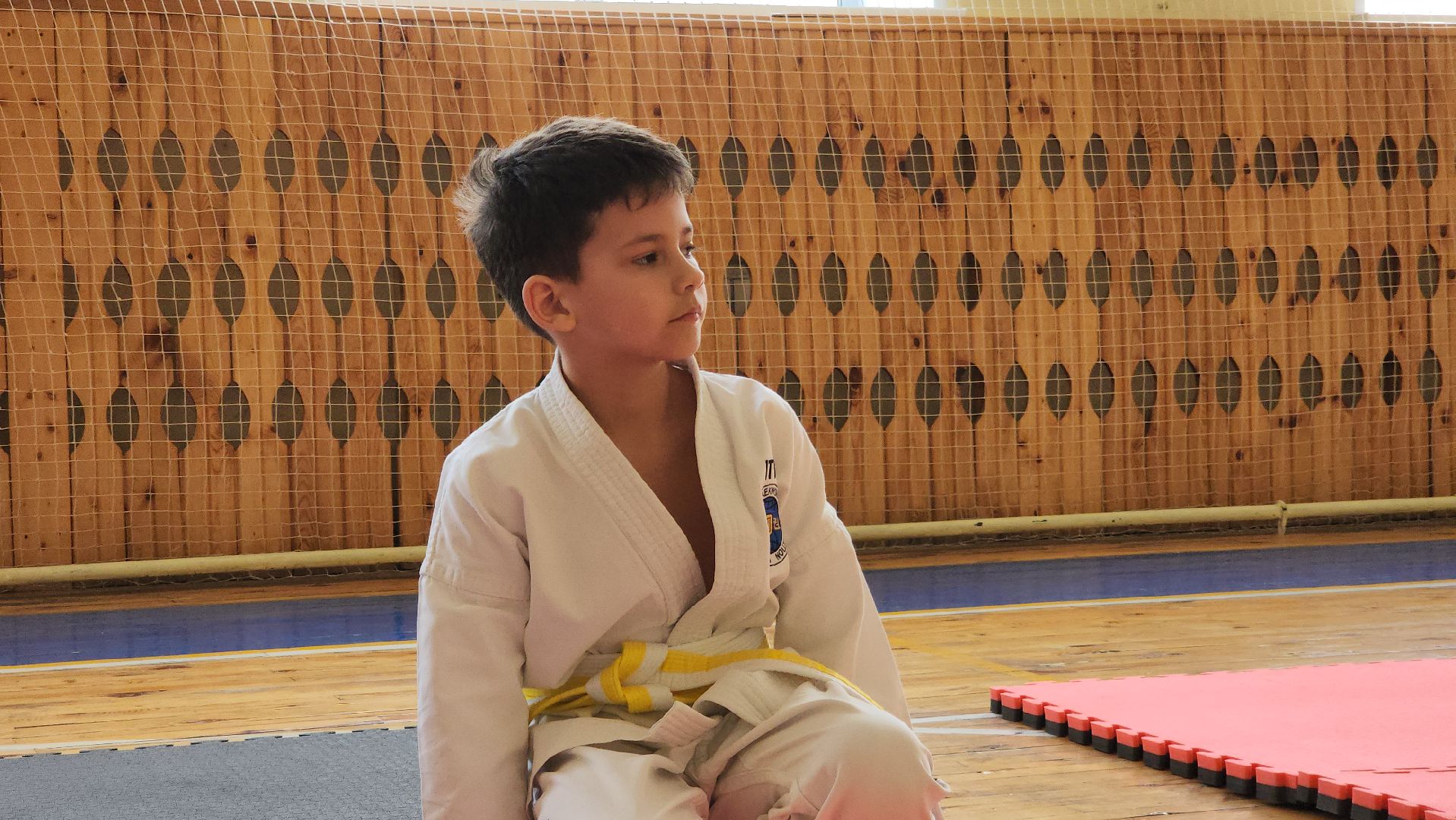 ступино, теквондо, спорт подмосковья,