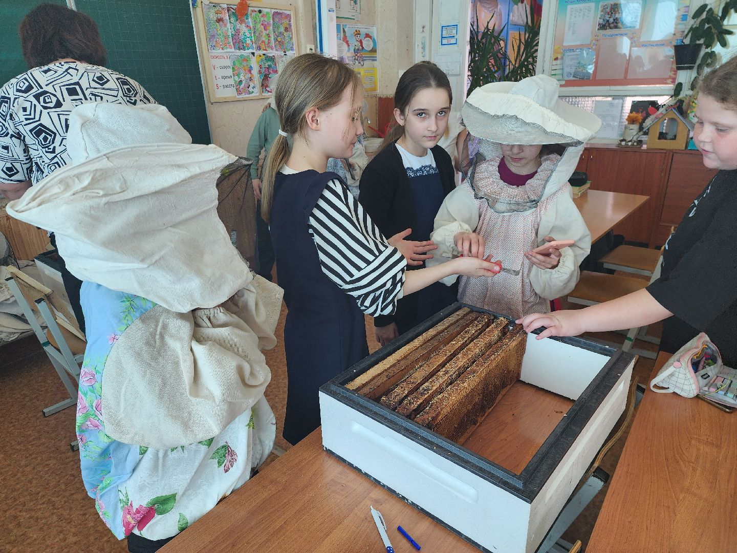 шатура, классный час, профессия родителей,пчеловод, работа мечты, село Петровское, школа 4,Селиверстов, Сильвестр,