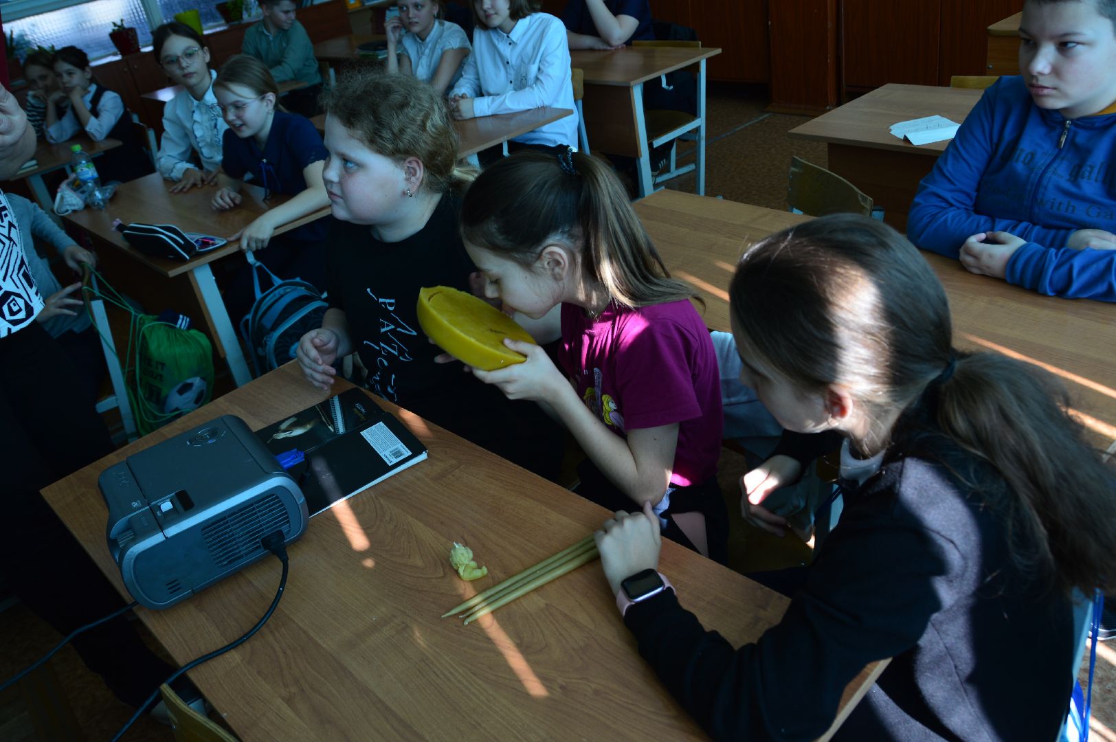 шатура, классный час, профессия родителей,пчеловод, работа мечты, село Петровское, школа 4,Селиверстов, Сильвестр,