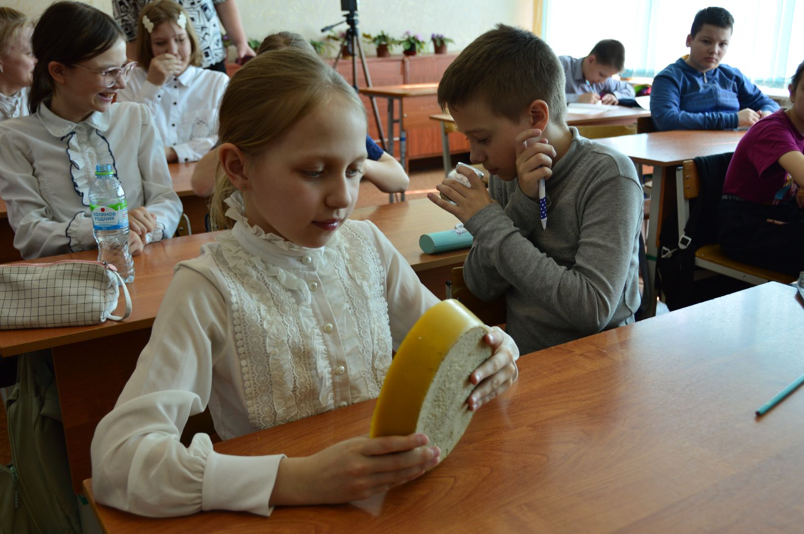 шатура, классный час, профессия родителей,пчеловод, работа мечты, село Петровское, школа 4,Селиверстов, Сильвестр,