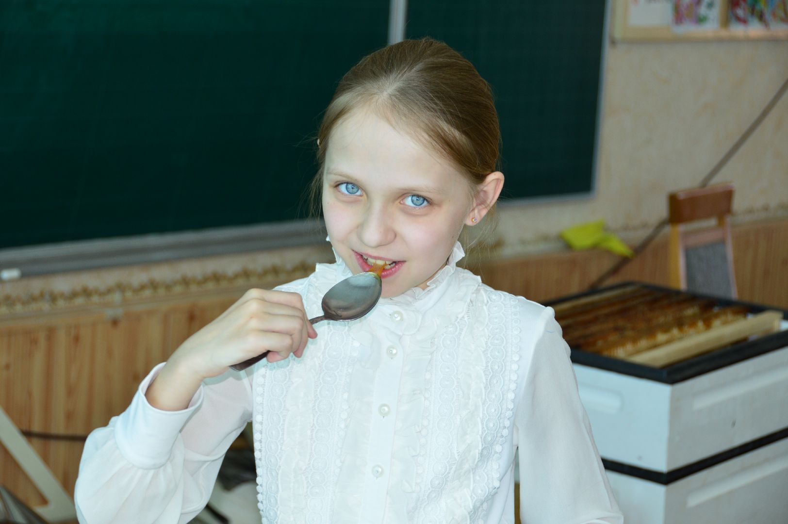 шатура, классный час, профессия родителей,пчеловод, работа мечты, село Петровское, школа 4,Селиверстов, Сильвестр,