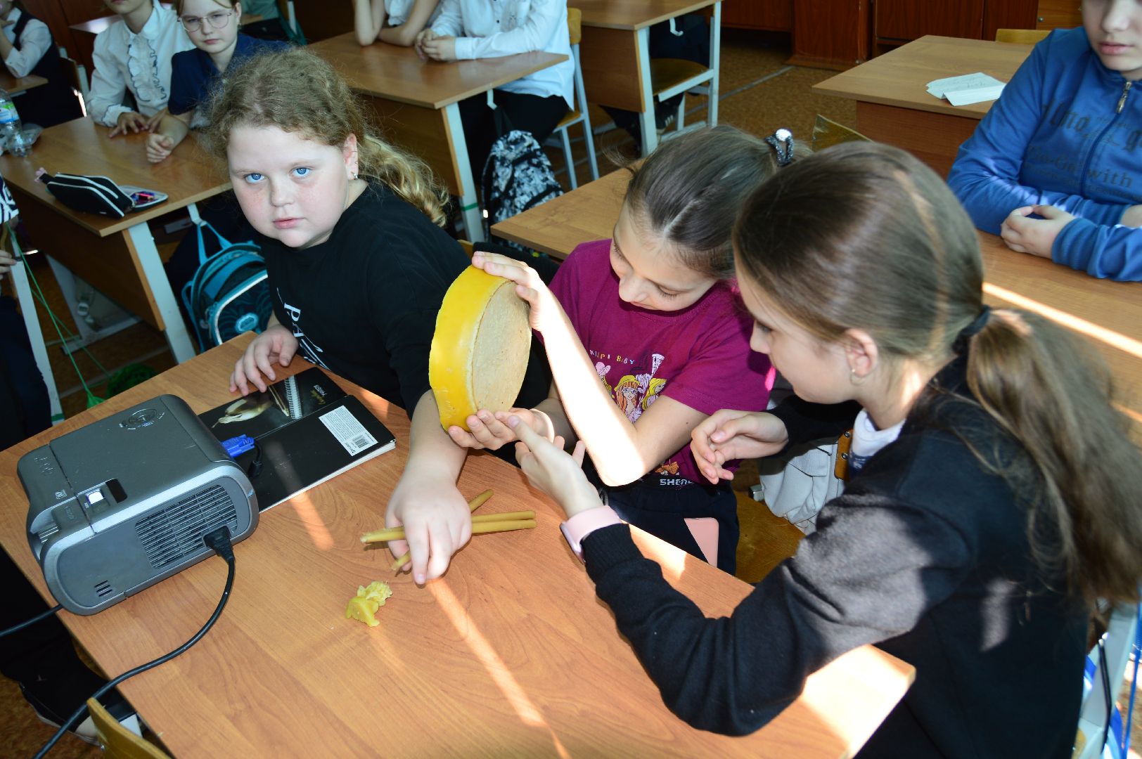 шатура, классный час, профессия родителей,пчеловод, работа мечты, село Петровское, школа 4,Селиверстов, Сильвестр,