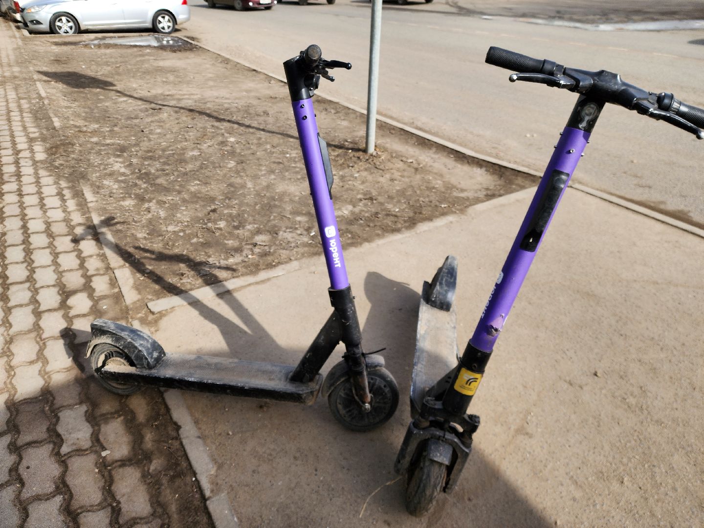 ногинск, электросамокаты, жители,