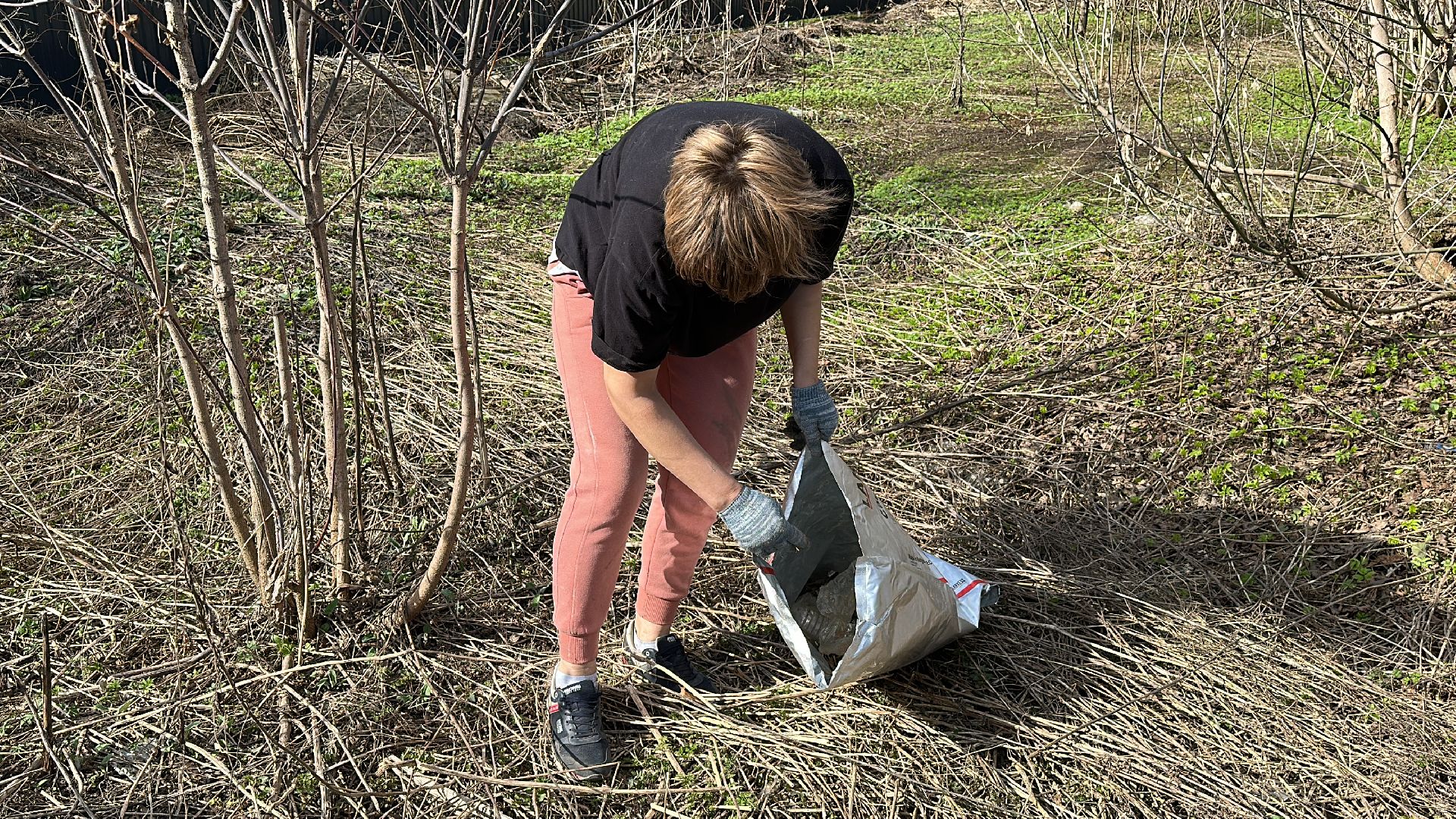 Клин, общество, благоустройство, субботники, люди,