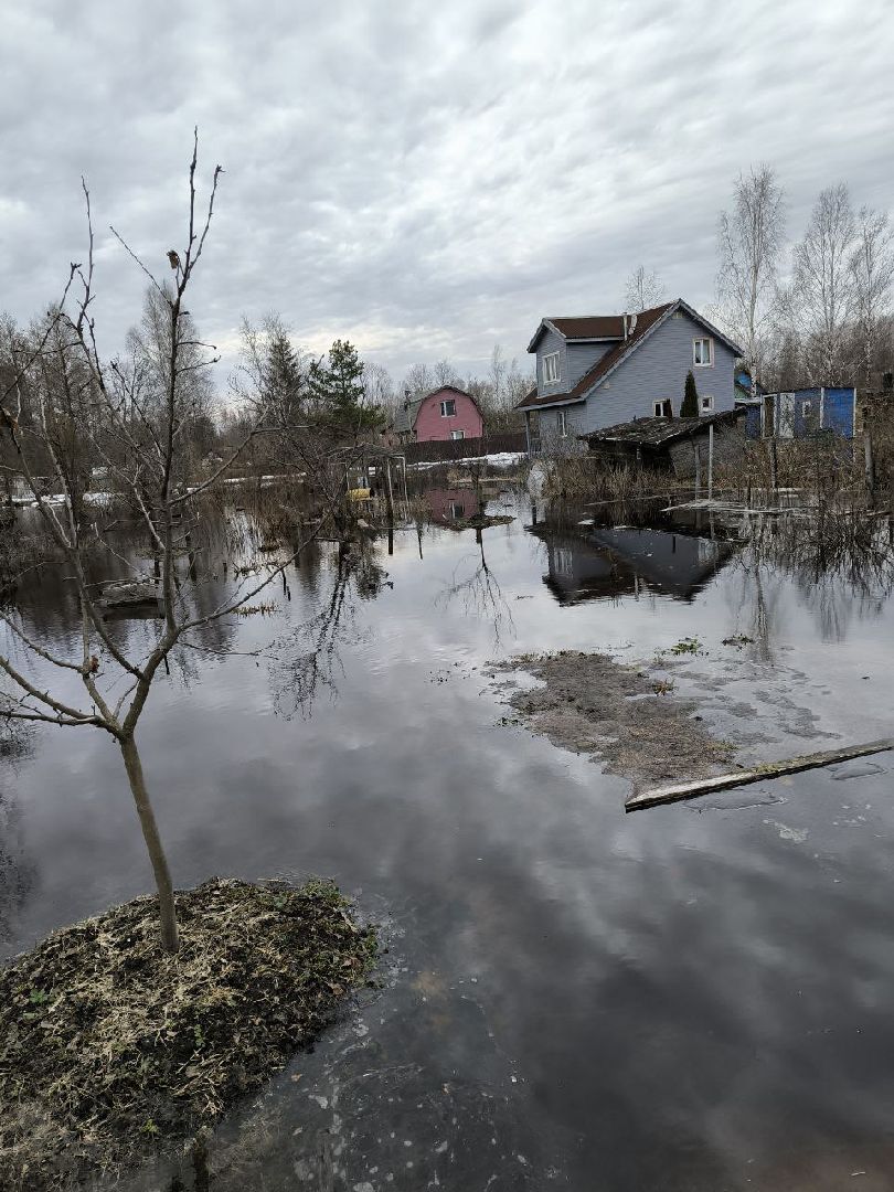 Егорьевск, подтопление, Подмосковье,
