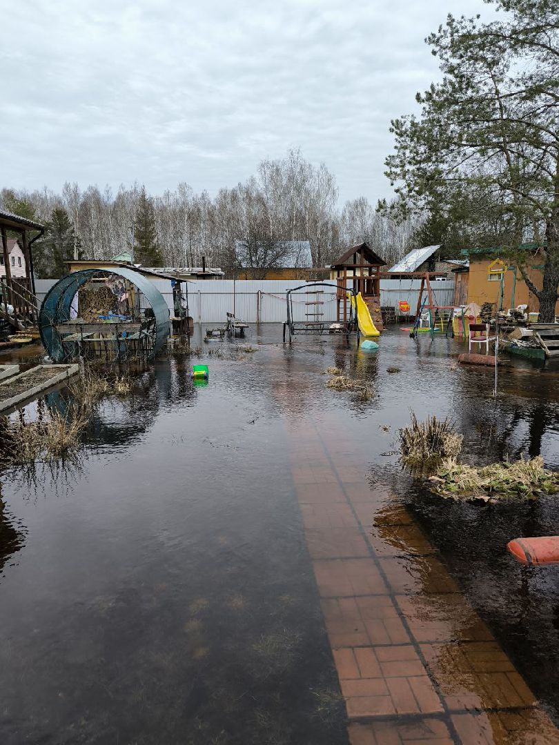 Егорьевск, подтопление, Подмосковье,