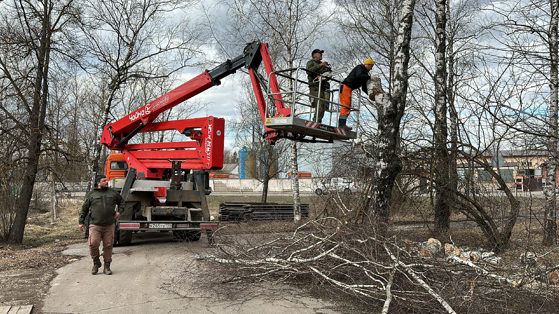 Клин, общество, благоустройство, опиловка деревьев, ЖКХ,