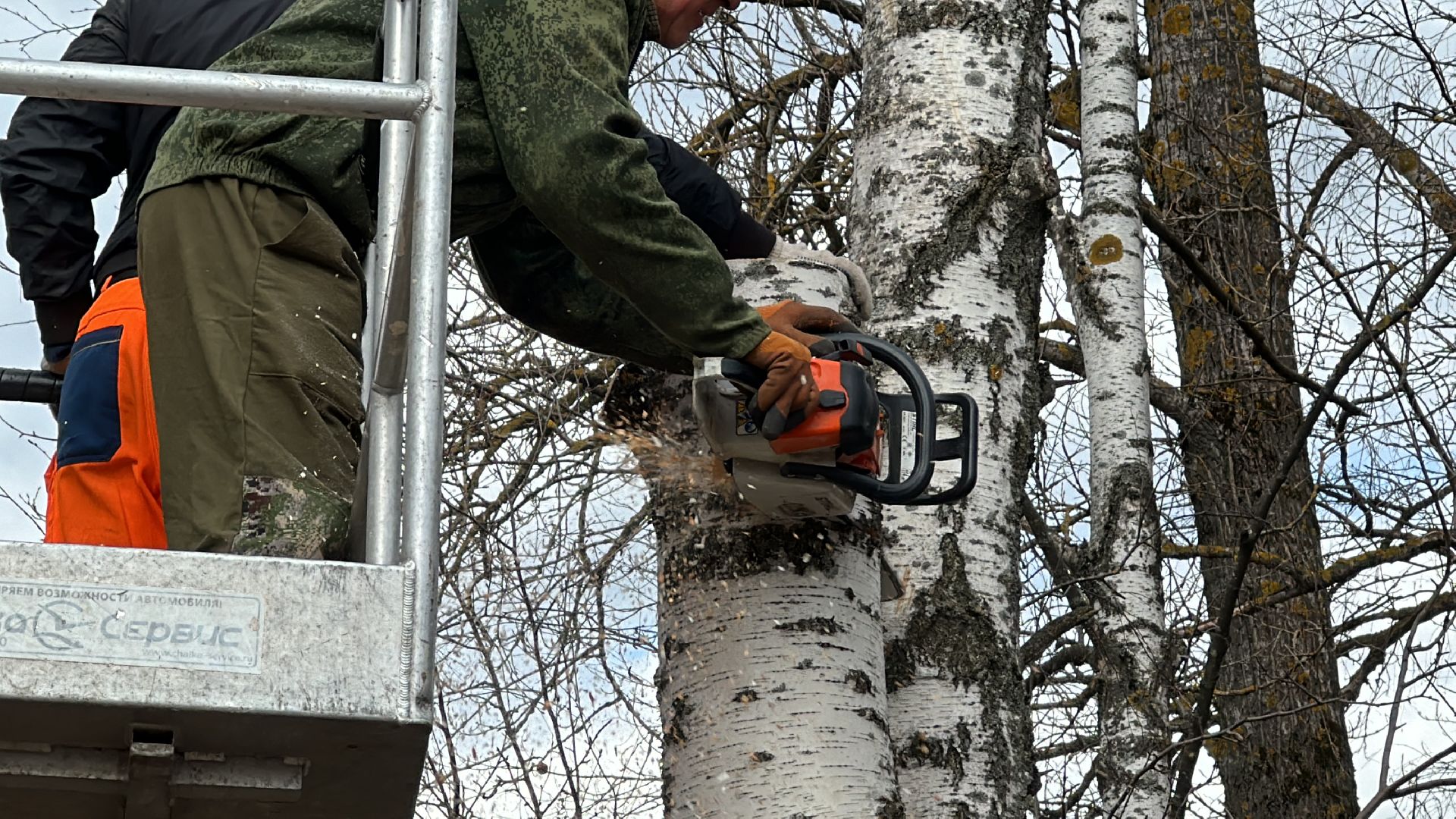 Клин, общество, благоустройство, опиловка деревьев, ЖКХ,