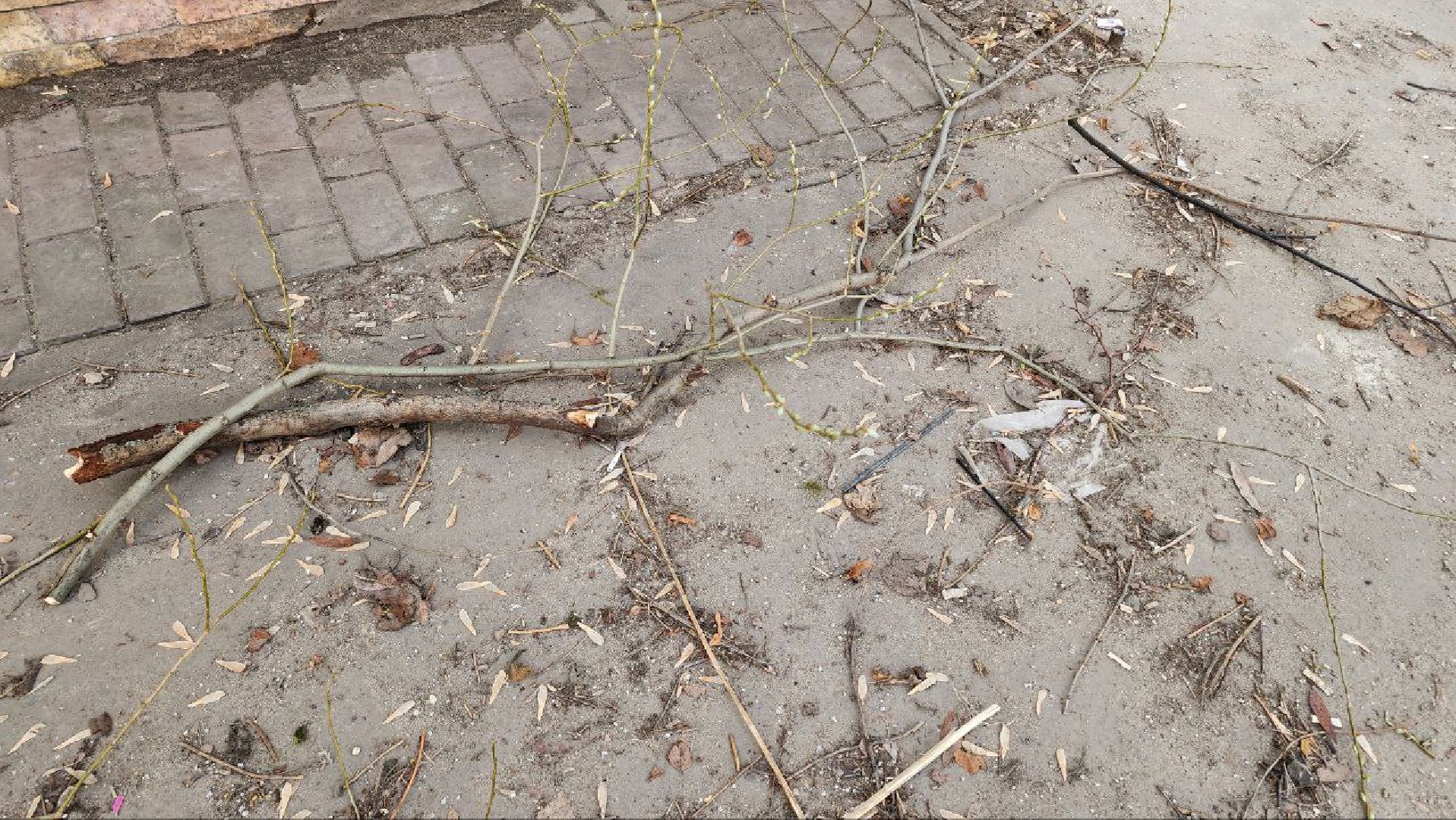 Люберцы, погода, природа, радуга,