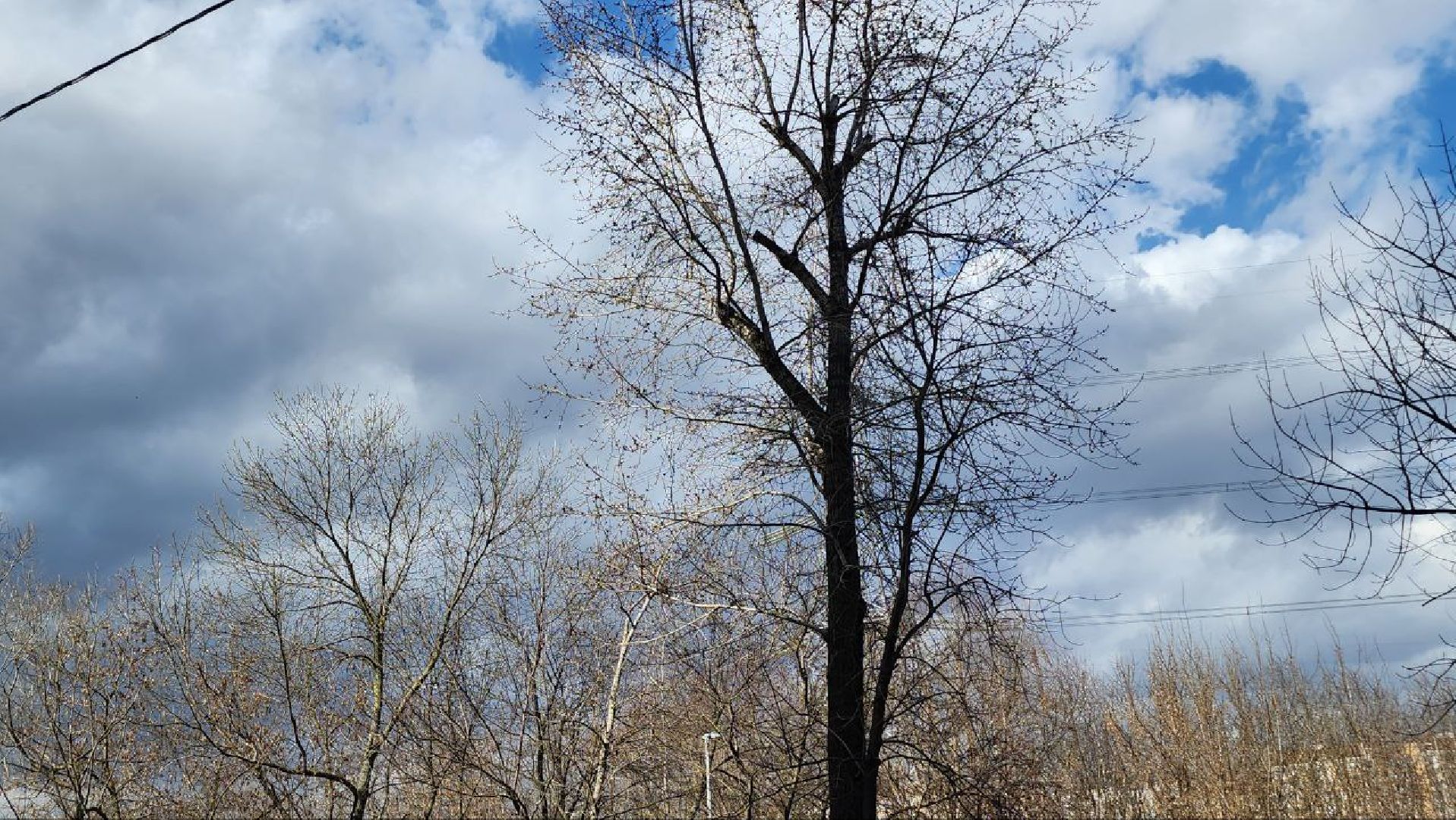 Люберцы, погода, природа, радуга,