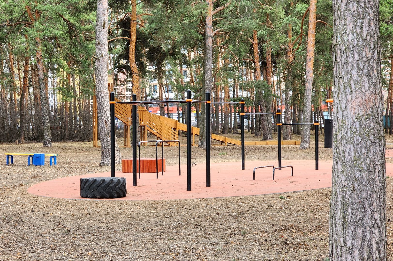 рейд чистоты, подготовка к лету, парки подмосковья, уборка территории,