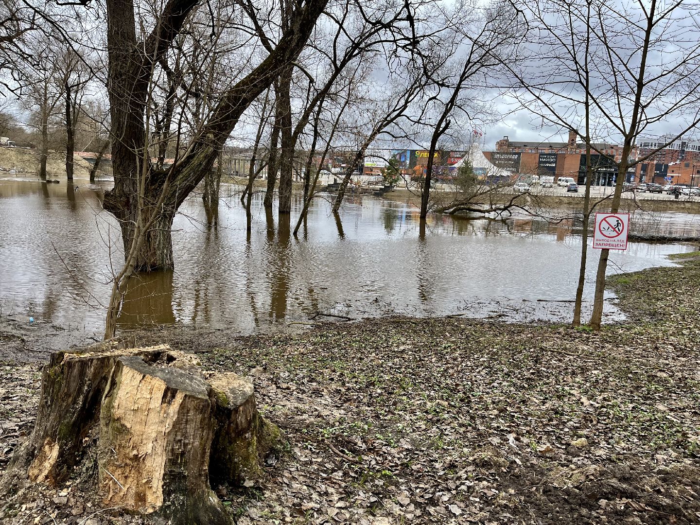 наро-фоминский городской округ, паводок, река нара,