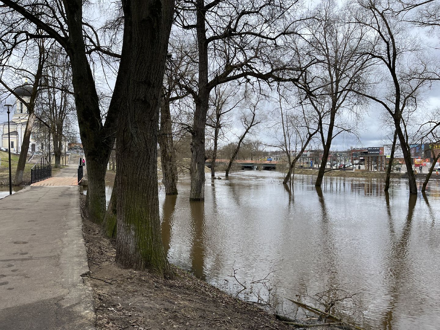 наро-фоминский городской округ, паводок, река нара,