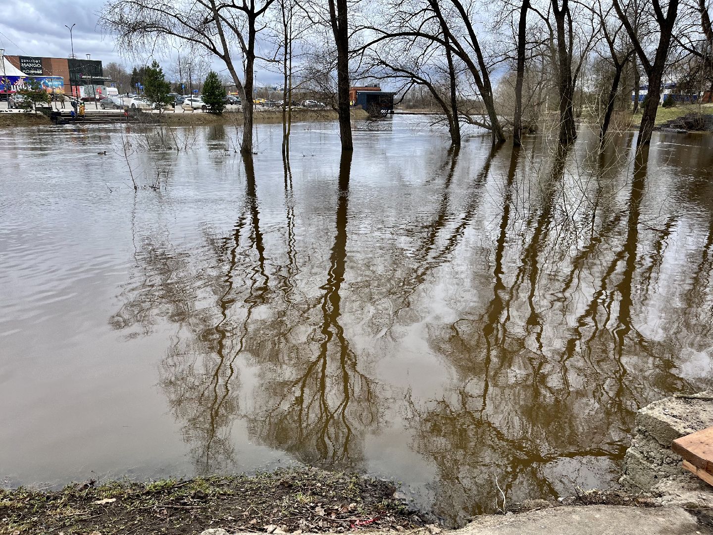 наро-фоминский городской округ, паводок, река нара,