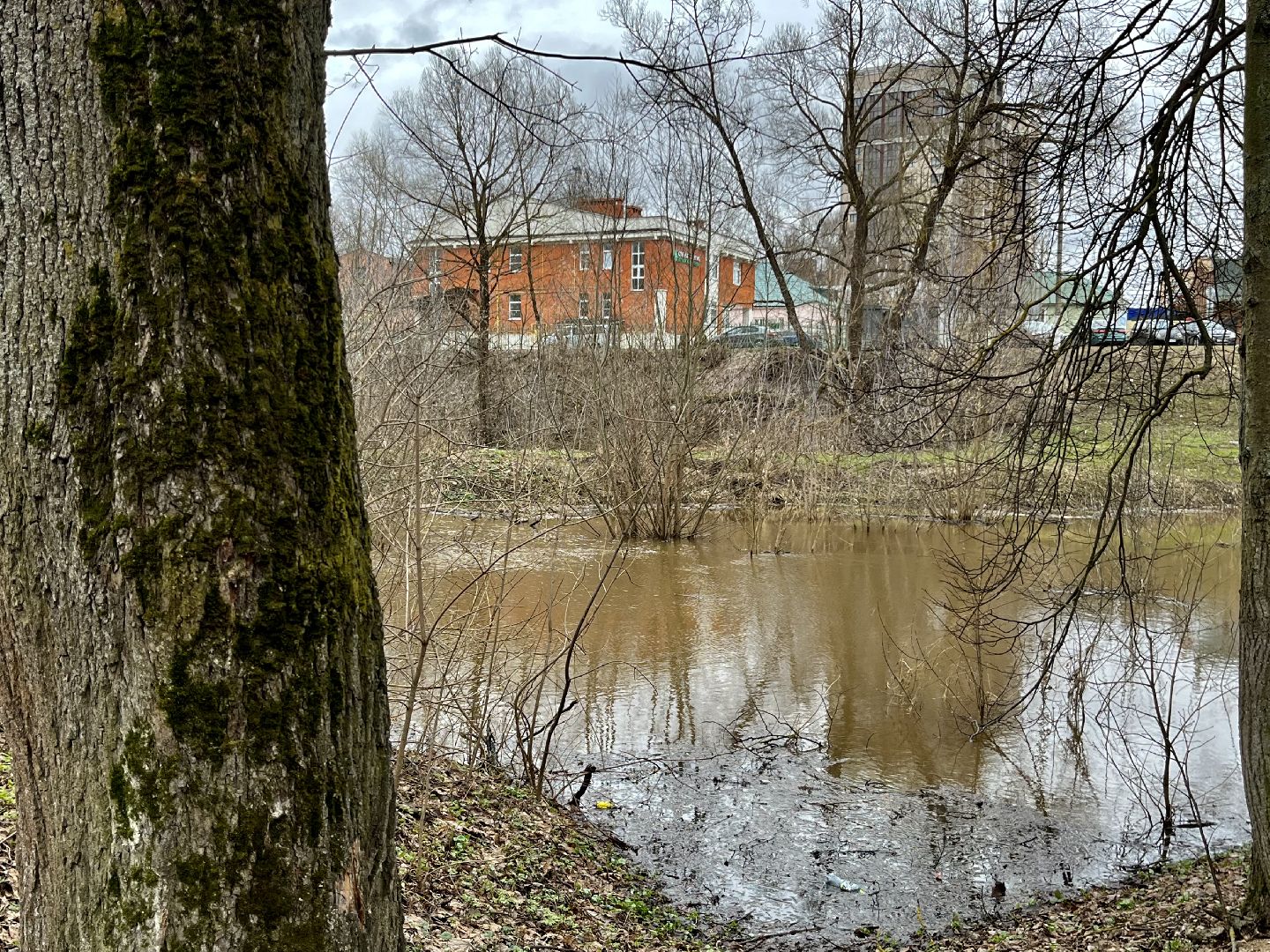 наро-фоминский городской округ, паводок, река нара,