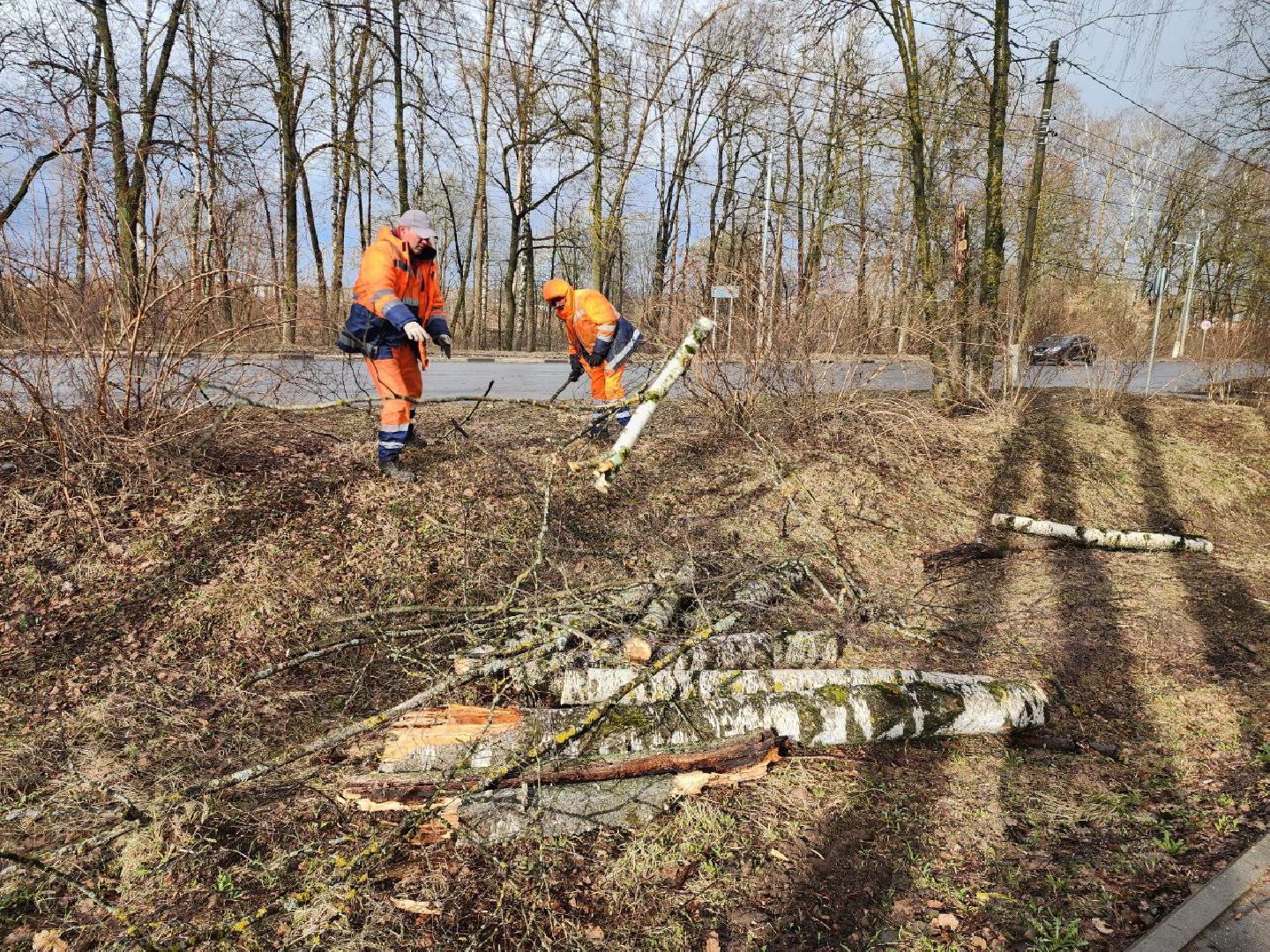 можайск, можайский городской округ, подмосковье, чп, порывы ветра, последствия непогоды, упавшие деревья, коммунальщики,