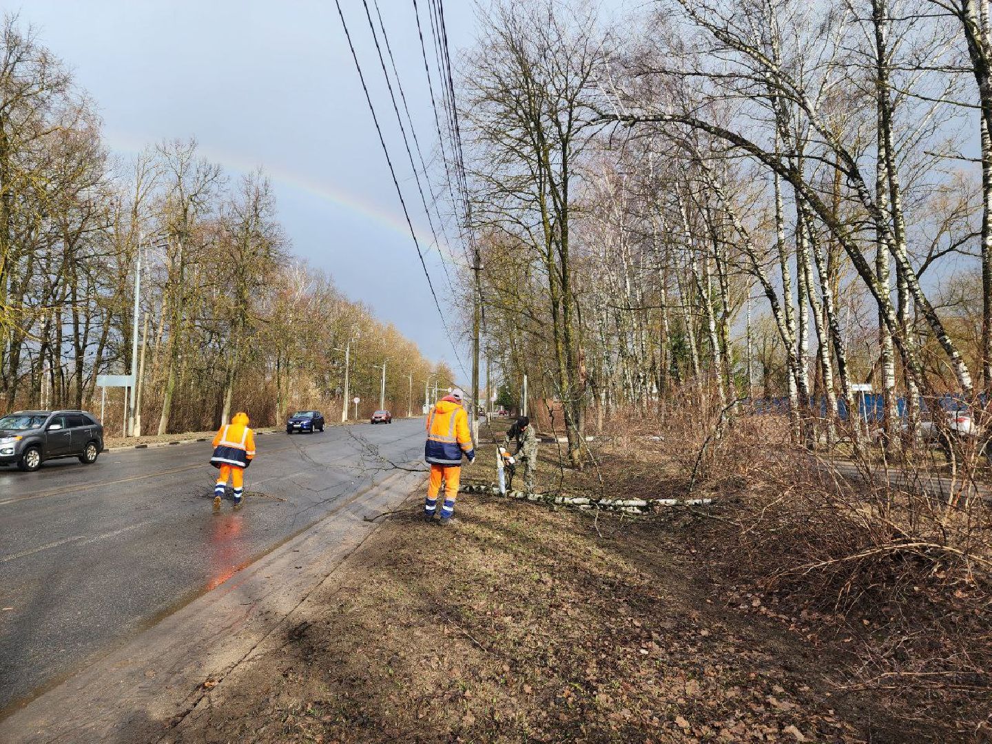 можайск, можайский городской округ, подмосковье, чп, порывы ветра, последствия непогоды, упавшие деревья, коммунальщики,