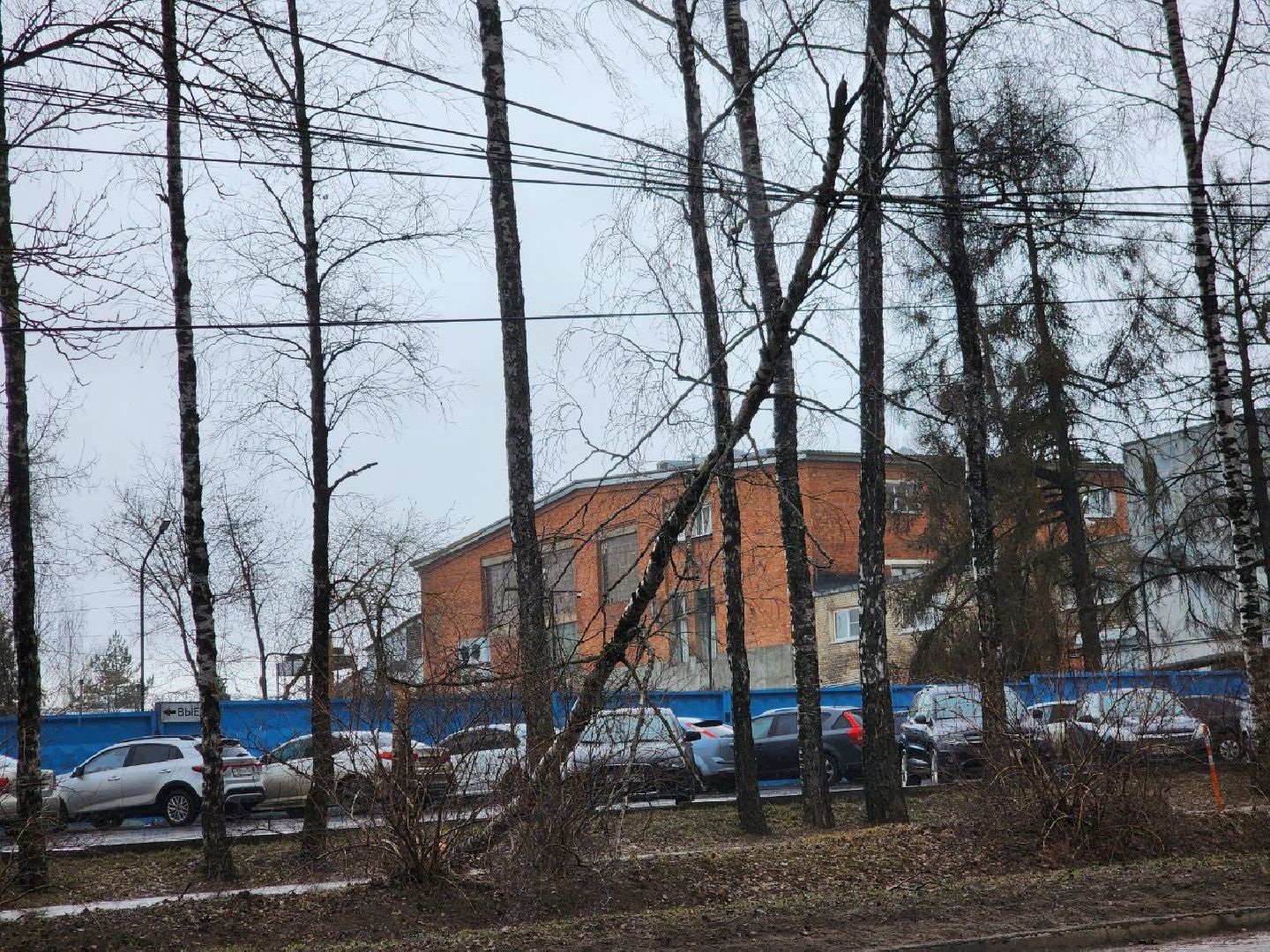 можайск, можайский городской округ, подмосковье, чп, порывы ветра, последствия непогоды, упавшие деревья, коммунальщики,