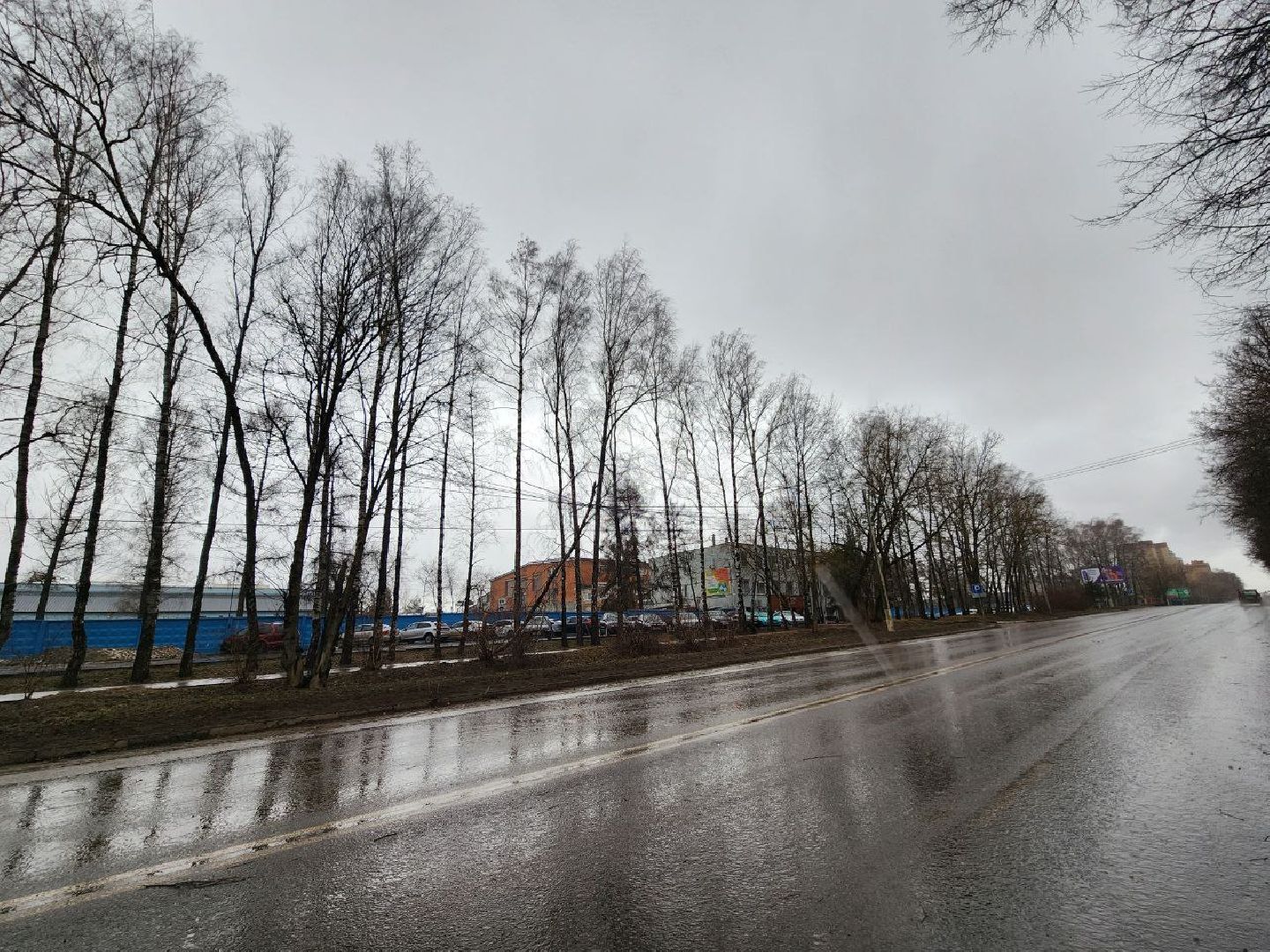 можайск, можайский городской округ, подмосковье, чп, порывы ветра, последствия непогоды, упавшие деревья, коммунальщики,