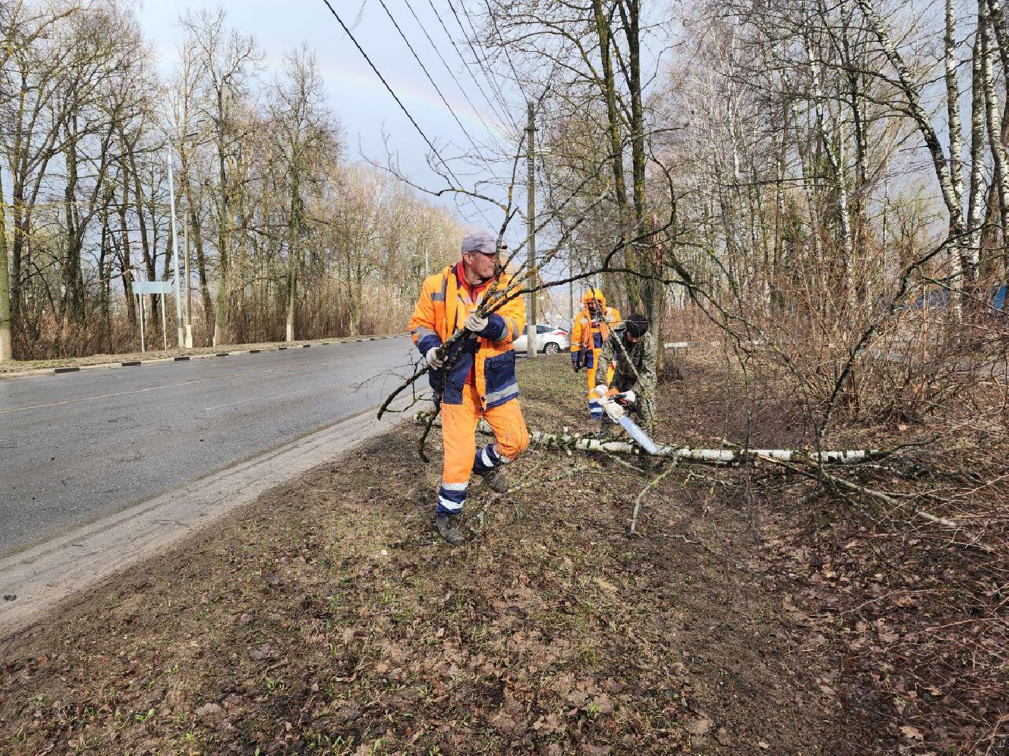 можайск, можайский городской округ, подмосковье, чп, порывы ветра, последствия непогоды, упавшие деревья, коммунальщики,