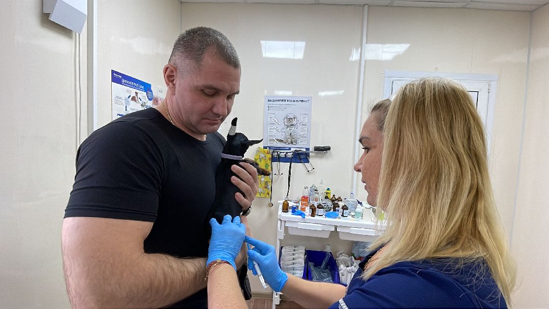 Одинцово, Одинцовский округ, бешенство, животные, кошки, собаки, ветеринария,