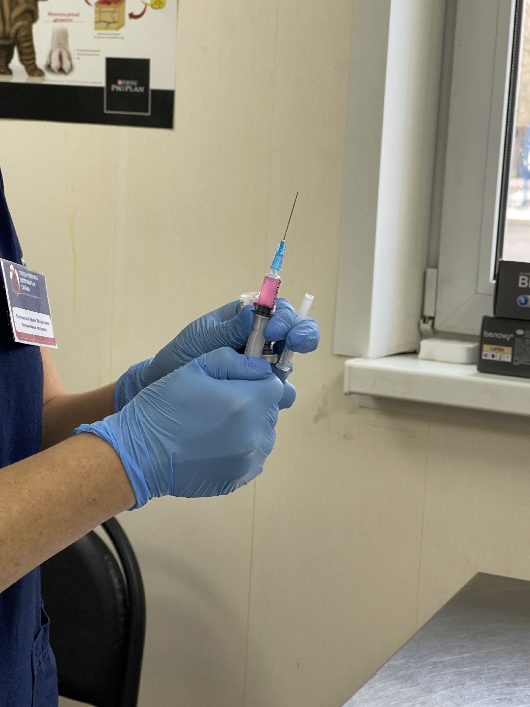 Одинцово, Одинцовский округ, бешенство, животные, кошки, собаки, ветеринария,