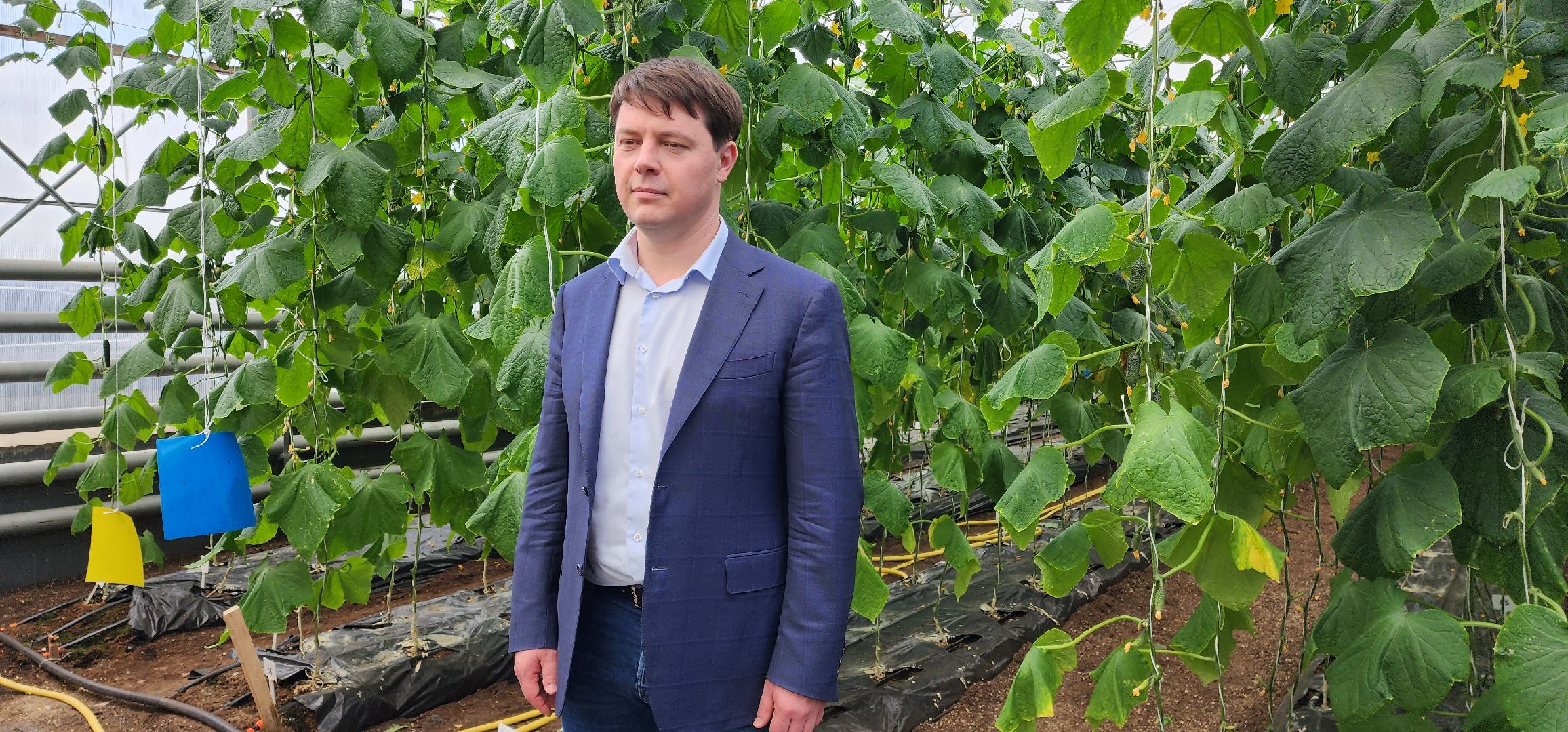 раменское, сельское хозяйство, агрофирма поиск, форум с зампредом правительства московской области,