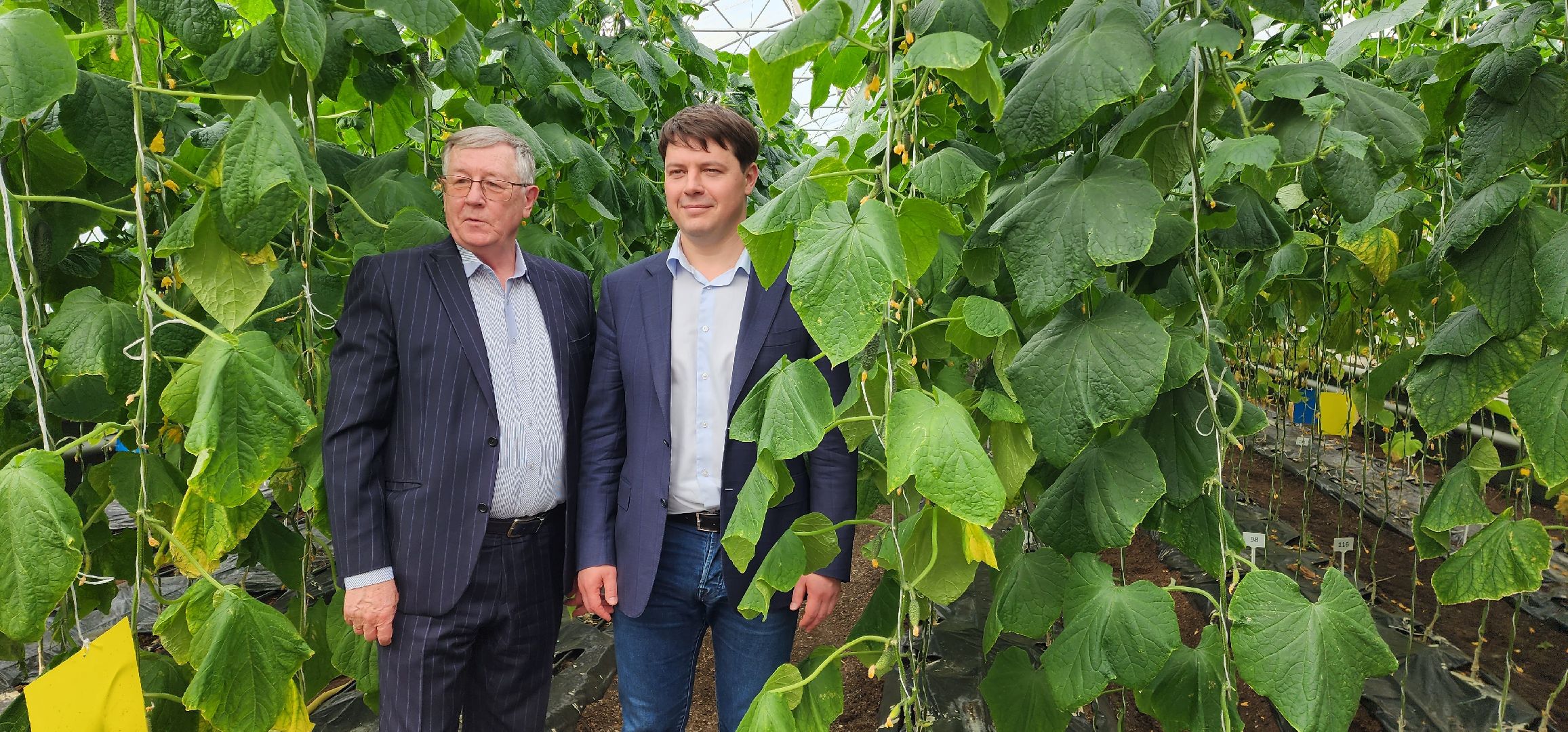 раменское, сельское хозяйство, агрофирма поиск, форум с зампредом правительства московской области,