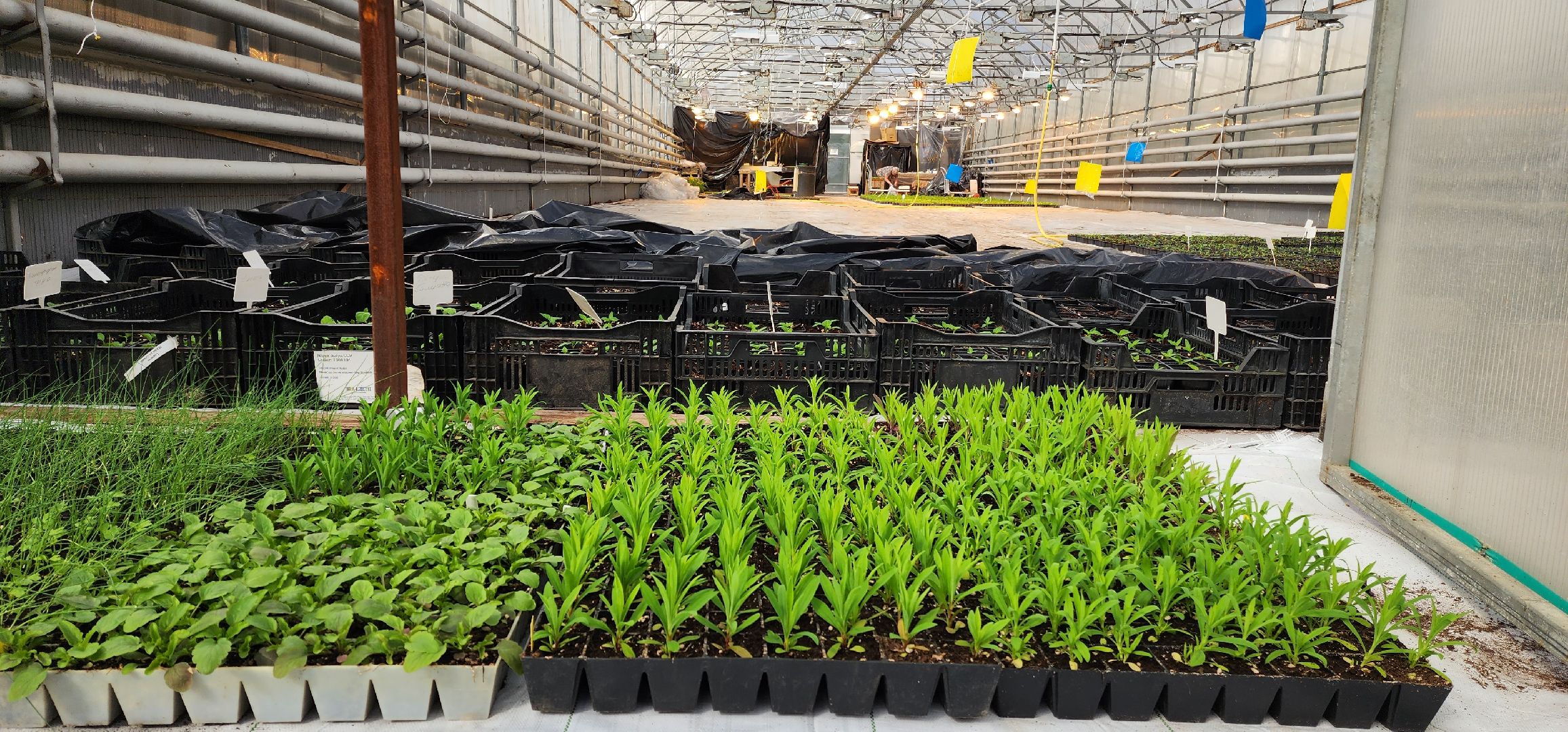 раменское, сельское хозяйство, агрофирма поиск, форум с зампредом правительства московской области,