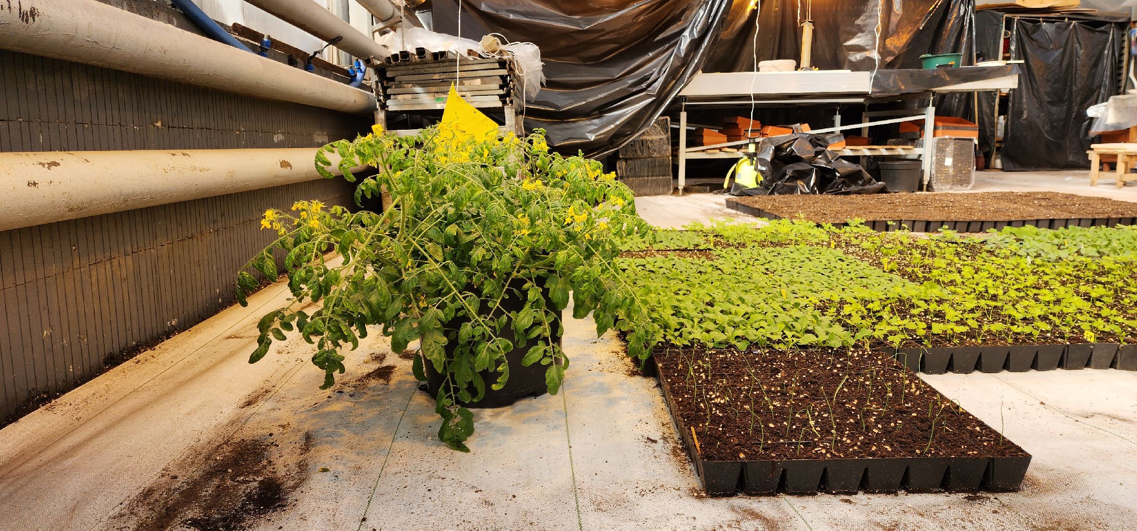 раменское, сельское хозяйство, агрофирма поиск, форум с зампредом правительства московской области,