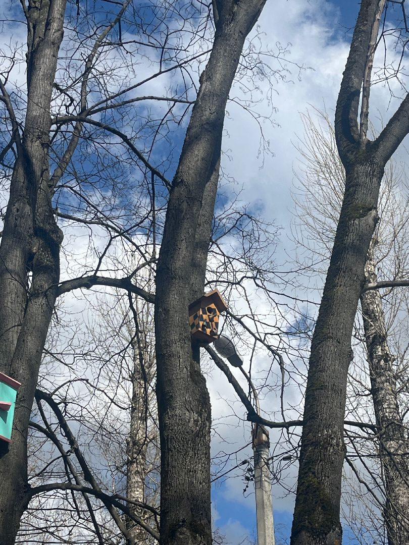 скворечник, скворечники, день пво, патриотика,