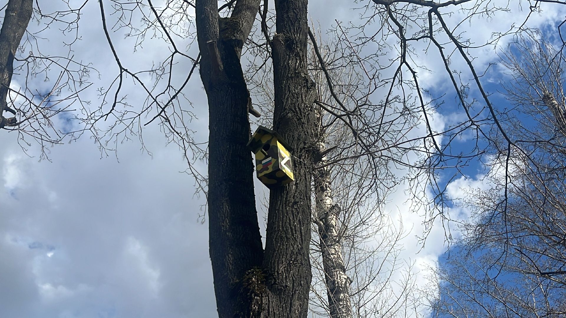 скворечник, скворечники, день пво, патриотика,