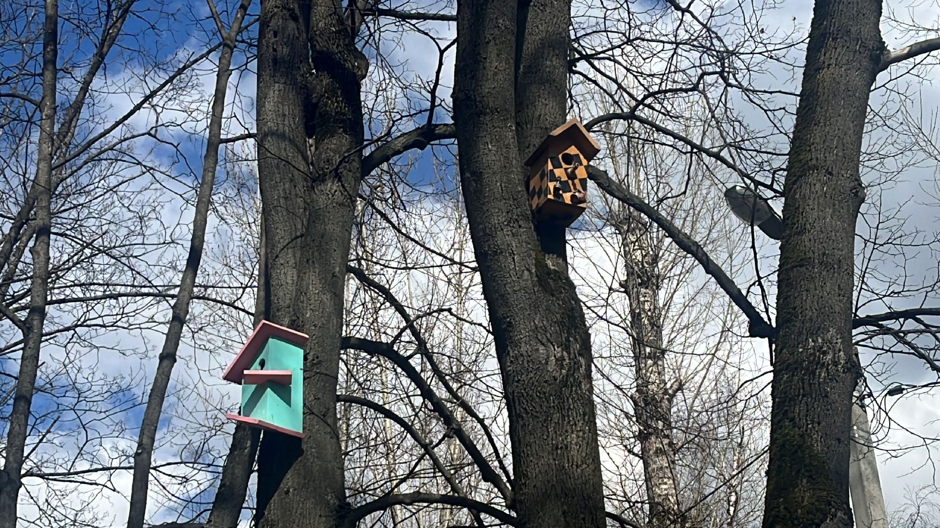 скворечник, скворечники, день пво, патриотика,