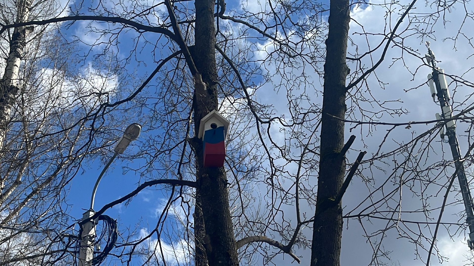 скворечник, скворечники, день пво, патриотика,