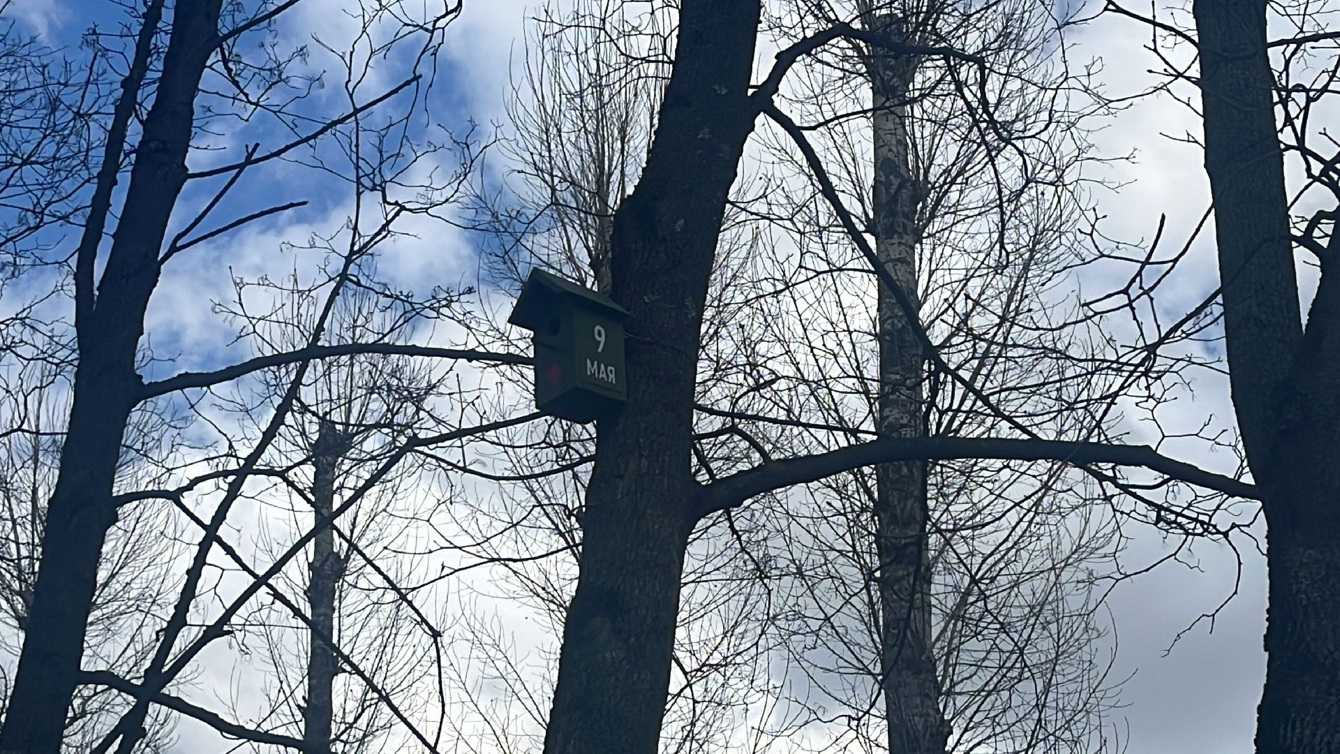 скворечник, скворечники, день пво, патриотика,