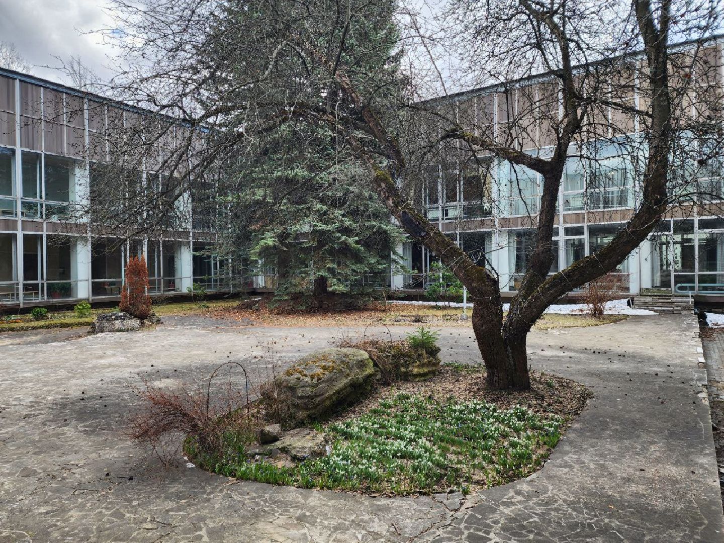 пущино, экология, первоцветы,