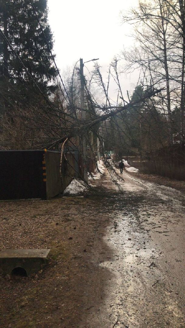 ураган, последствия стихии,