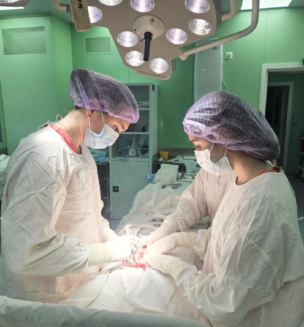 Балашиха, Подмосковье, московский областной онкологический диспансер, онкология, рак, новые врачи,