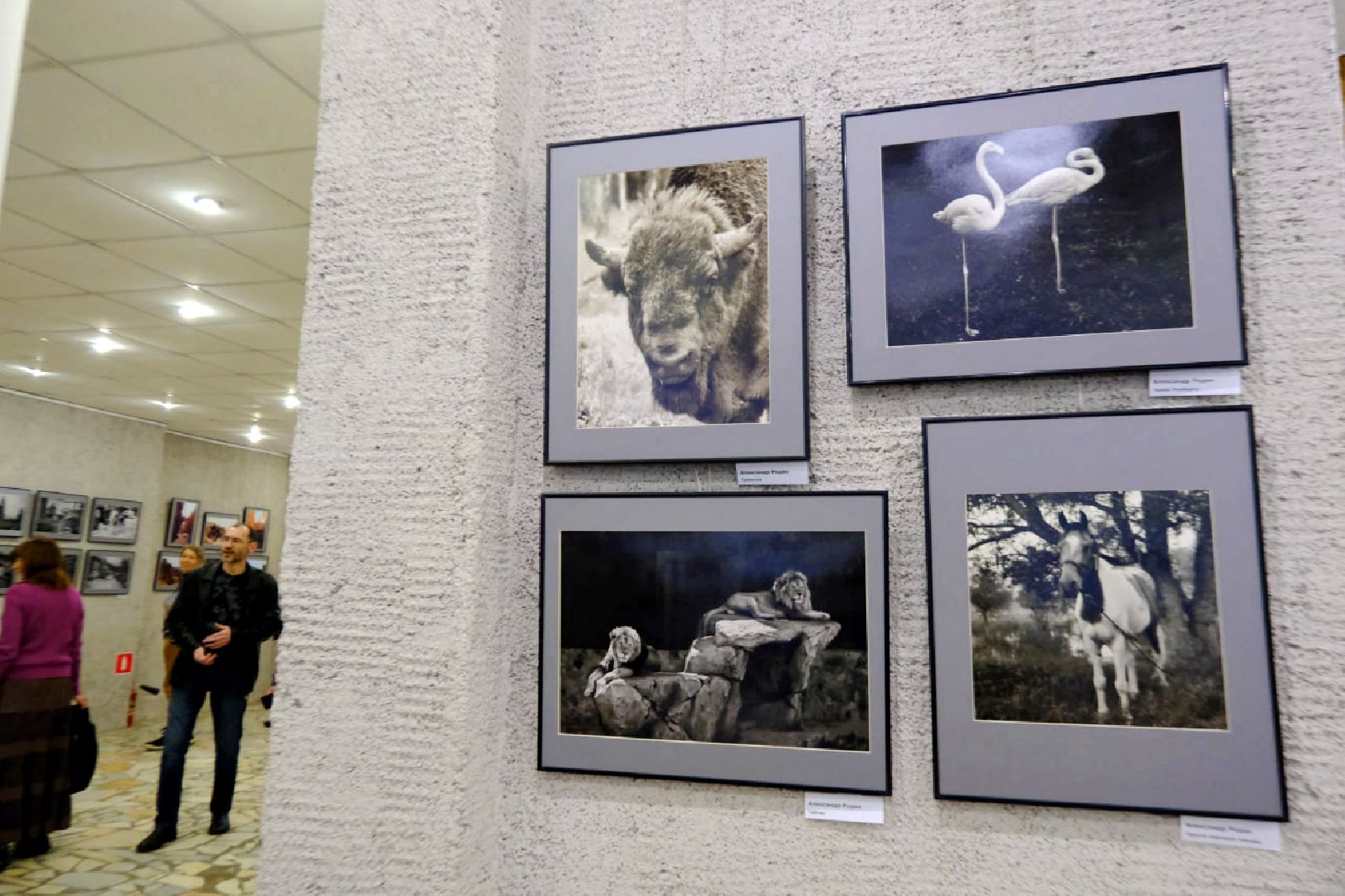 пущино, культура, фото, фотовыставка,