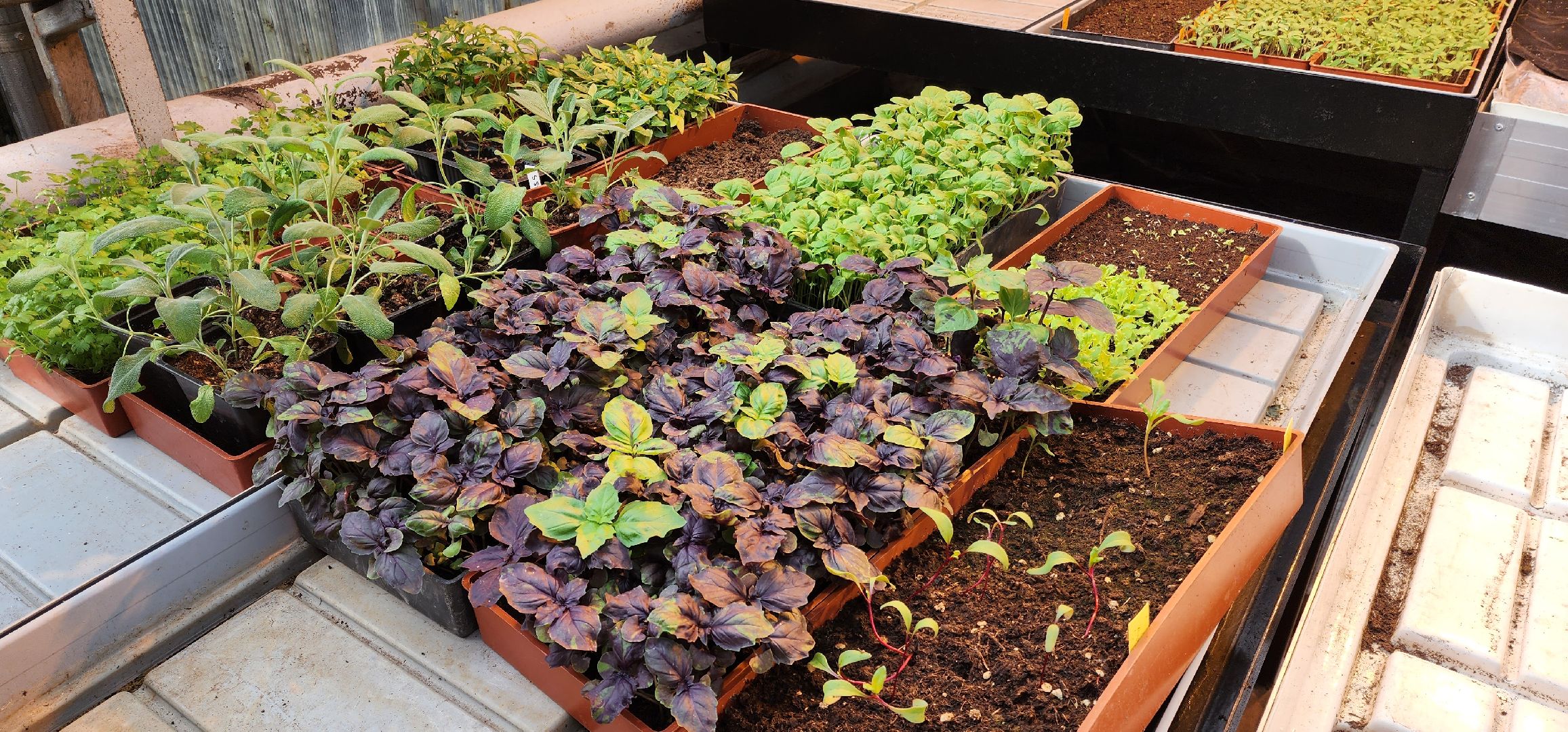 раменское, сельское хозяйство, агрофирма поиск, подготовка кадров в сельскохозяйственной отрасли,