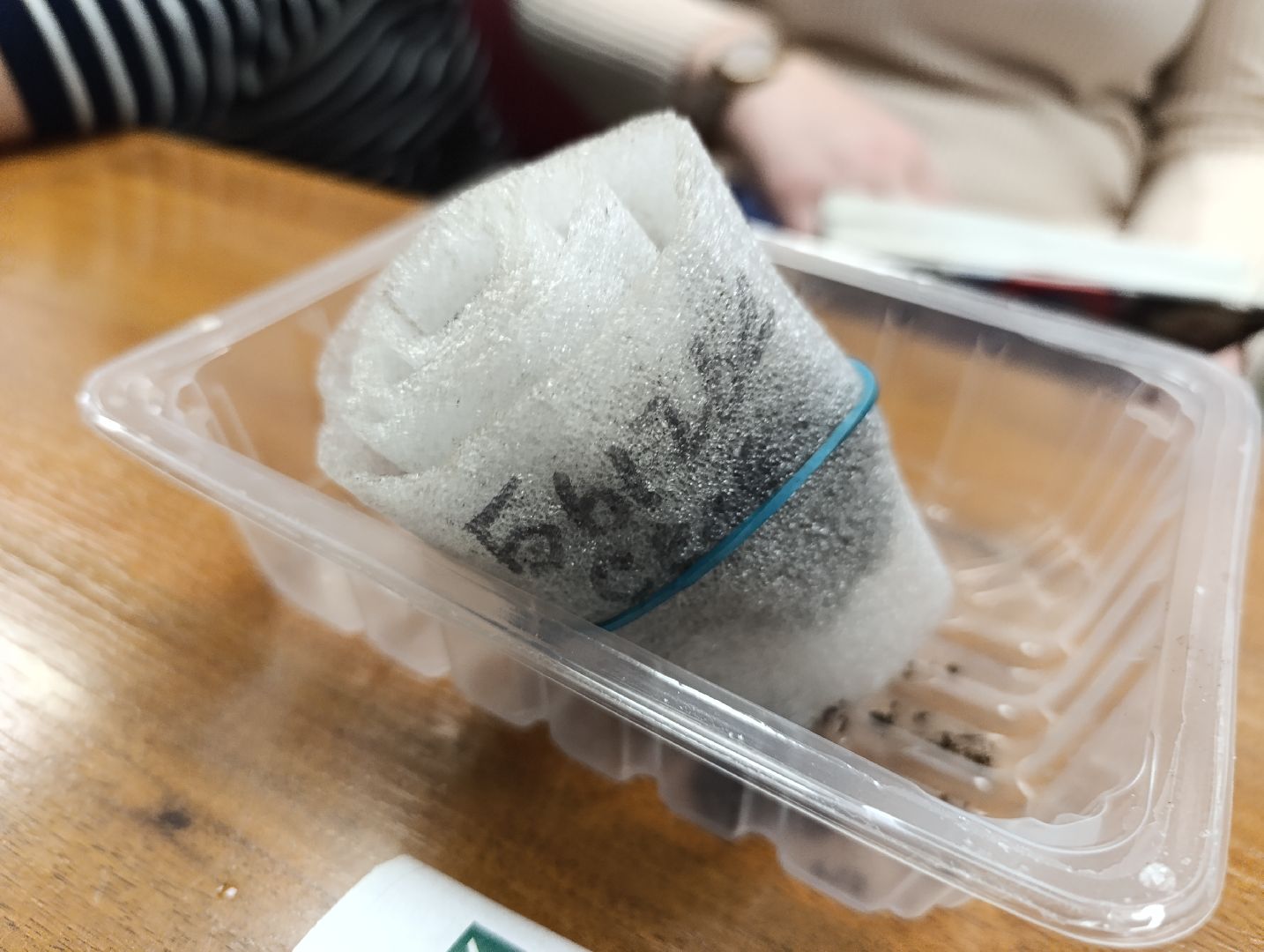 Бронницы, Садоводство, Активное долголетие, Выращивание рассады,