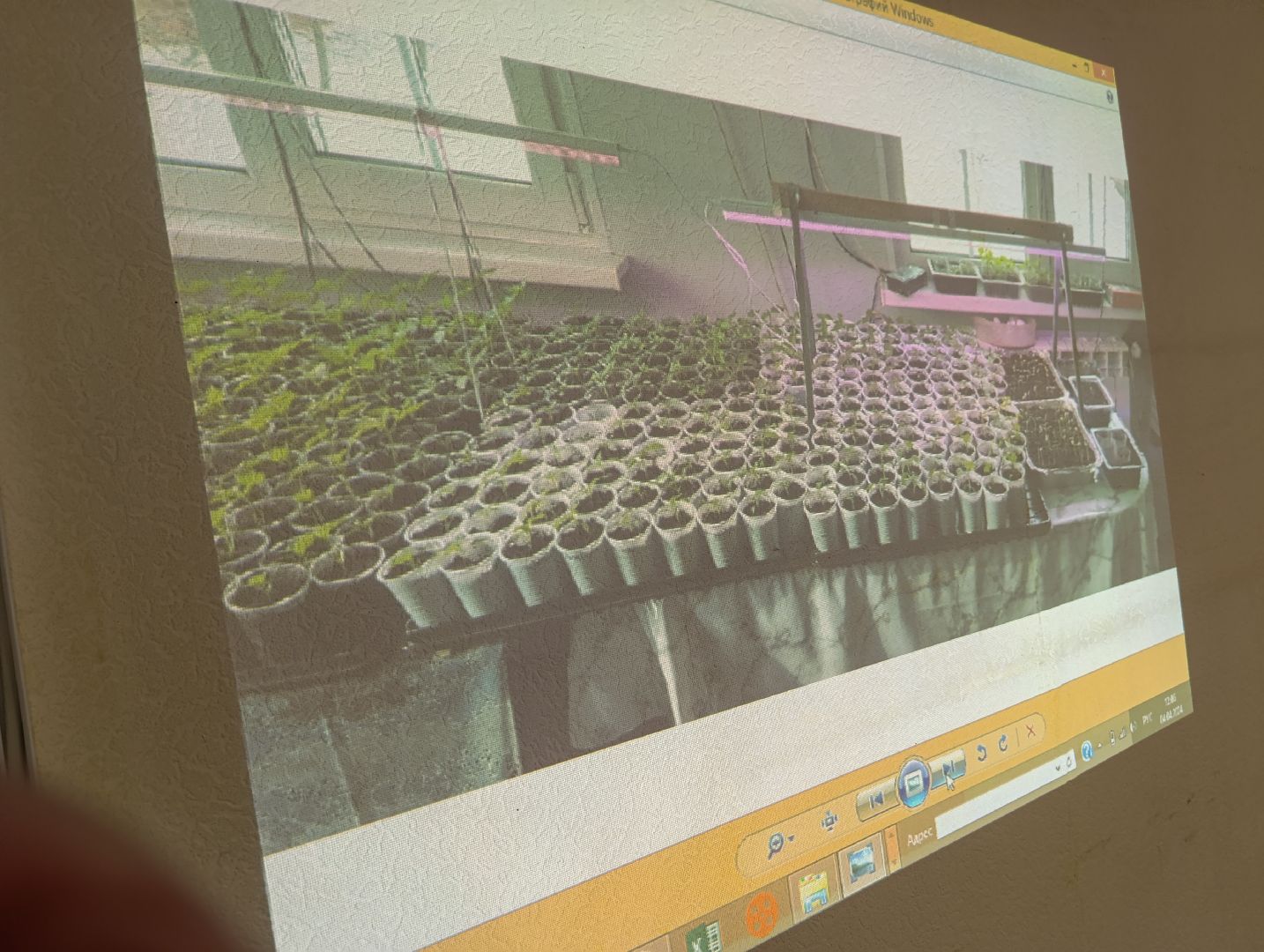 Бронницы, Садоводство, Активное долголетие, Выращивание рассады,