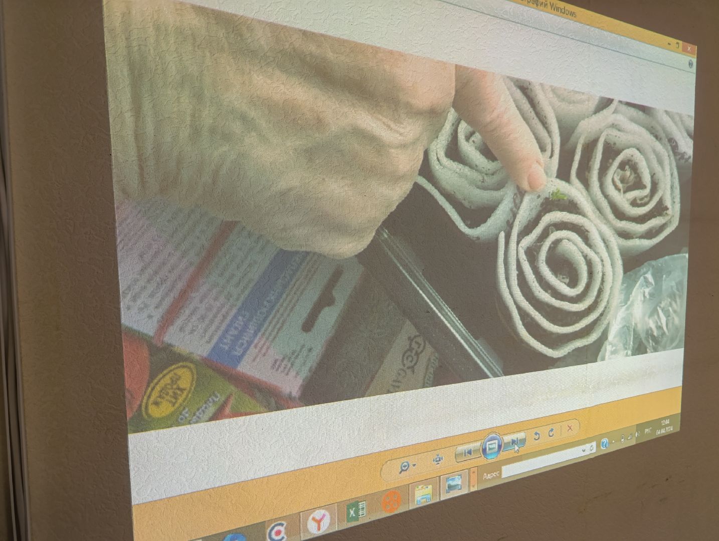 Бронницы, Садоводство, Активное долголетие, Выращивание рассады,