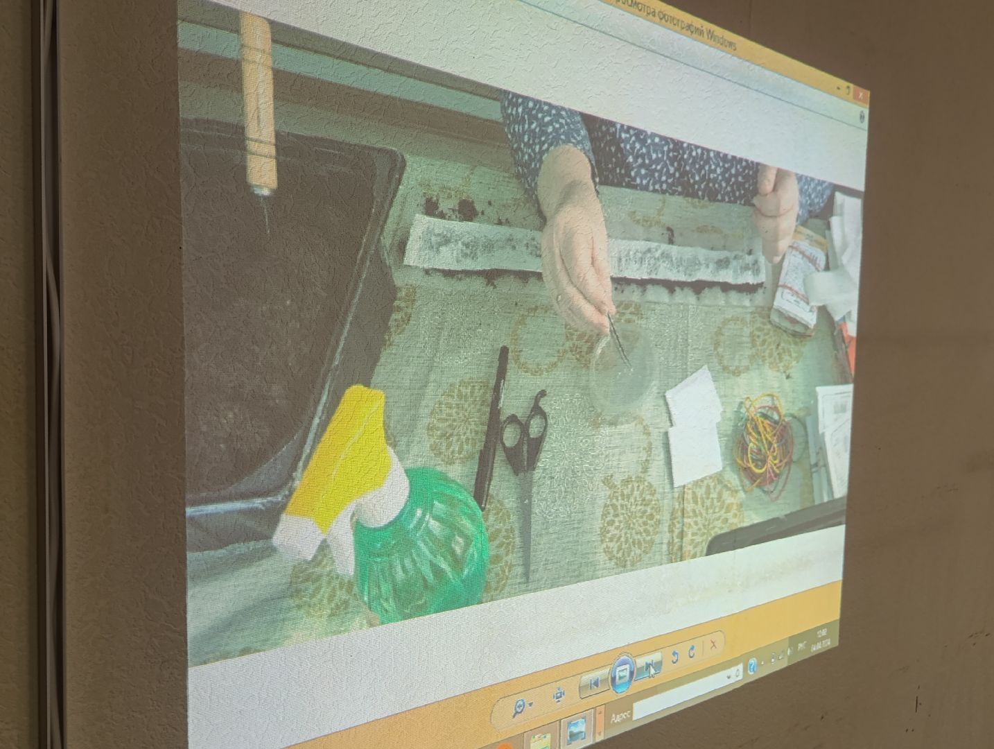 Бронницы, Садоводство, Активное долголетие, Выращивание рассады,