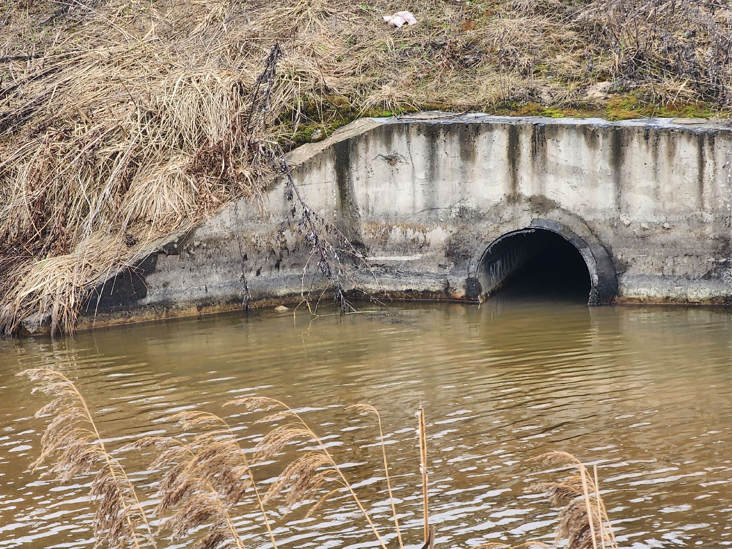 Паводок, Водосброс, противопаводковые мероприятия, Безопасность, Дубна,