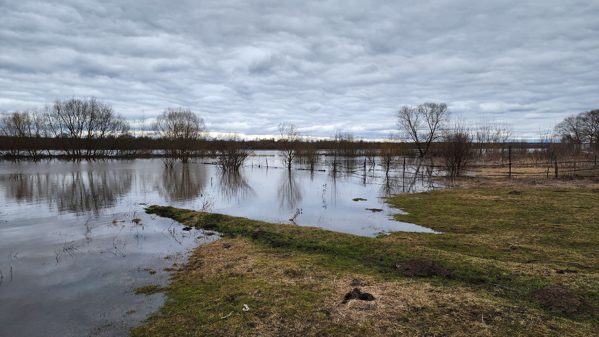 кашира, водно-спасательная станция, набережная оки, река ока, паводок, спасатели,