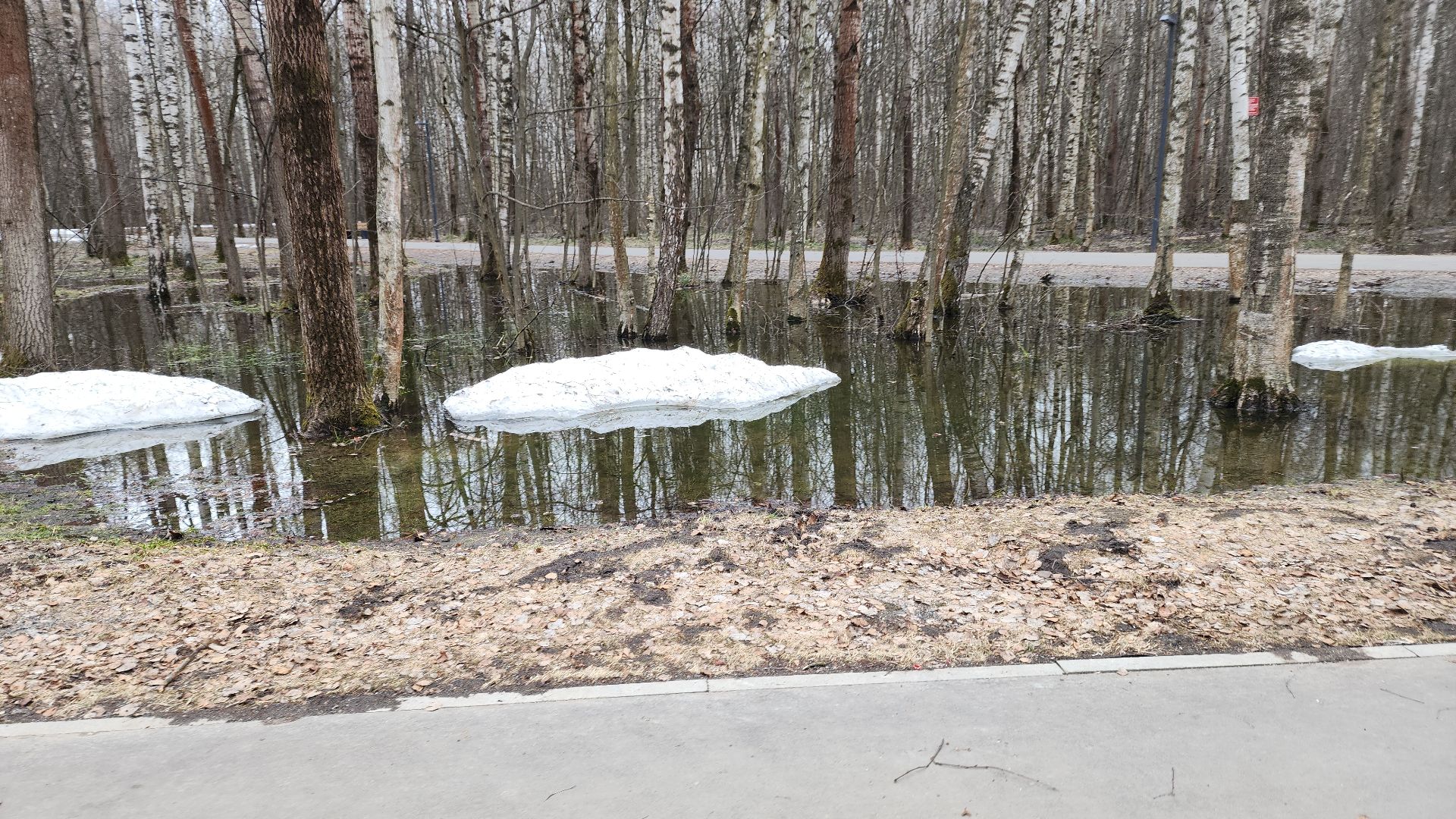 электросталь, мой город, жители города, благоуйстройство, благоустройство 2024, благоустройство парков, весна в парке, весна в подмосковье,