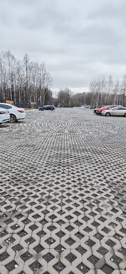 электросталь, мой город, жители города, благоуйстройство, благоустройство 2024, благоустройство парков, весна в парке, весна в подмосковье,