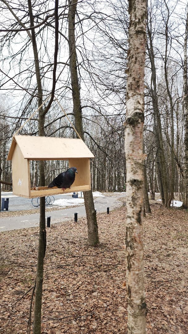 электросталь, мой город, жители города, благоуйстройство, благоустройство 2024, благоустройство парков, весна в парке, весна в подмосковье,