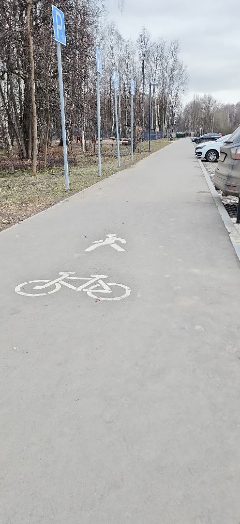 электросталь, мой город, жители города, благоуйстройство, благоустройство 2024, благоустройство парков, весна в парке, весна в подмосковье,